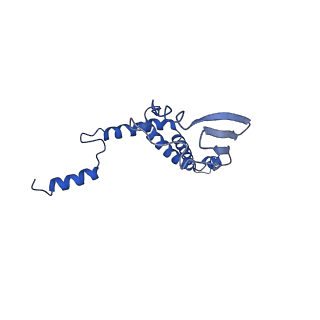 4849_6rec_7_v1-2
Cryo-EM structure of Polytomella F-ATP synthase, Rotary substate 3A, monomer-masked refinement