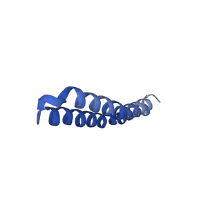 4849_6rec_F_v1-2
Cryo-EM structure of Polytomella F-ATP synthase, Rotary substate 3A, monomer-masked refinement