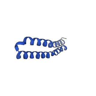 4849_6rec_G_v1-2
Cryo-EM structure of Polytomella F-ATP synthase, Rotary substate 3A, monomer-masked refinement