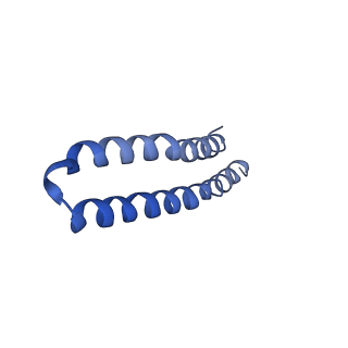 4849_6rec_H_v1-2
Cryo-EM structure of Polytomella F-ATP synthase, Rotary substate 3A, monomer-masked refinement
