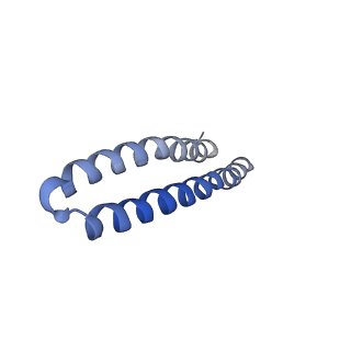 4849_6rec_I_v1-2
Cryo-EM structure of Polytomella F-ATP synthase, Rotary substate 3A, monomer-masked refinement
