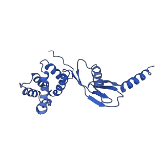 4849_6rec_P_v1-2
Cryo-EM structure of Polytomella F-ATP synthase, Rotary substate 3A, monomer-masked refinement