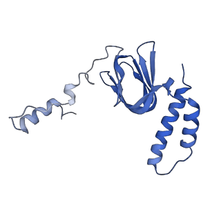 4849_6rec_R_v1-2
Cryo-EM structure of Polytomella F-ATP synthase, Rotary substate 3A, monomer-masked refinement