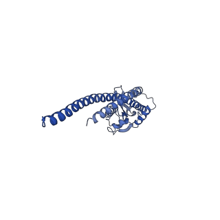 4849_6rec_S_v1-2
Cryo-EM structure of Polytomella F-ATP synthase, Rotary substate 3A, monomer-masked refinement