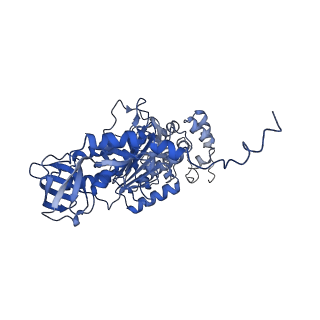 4849_6rec_T_v1-2
Cryo-EM structure of Polytomella F-ATP synthase, Rotary substate 3A, monomer-masked refinement