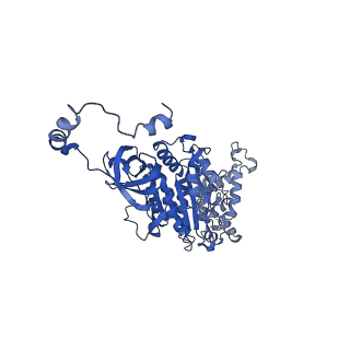 4849_6rec_U_v1-2
Cryo-EM structure of Polytomella F-ATP synthase, Rotary substate 3A, monomer-masked refinement