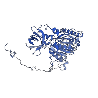 4849_6rec_X_v1-2
Cryo-EM structure of Polytomella F-ATP synthase, Rotary substate 3A, monomer-masked refinement