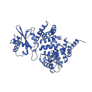 4851_6ree_2_v1-2
Cryo-EM structure of Polytomella F-ATP synthase, Rotary substate 3B, composite map