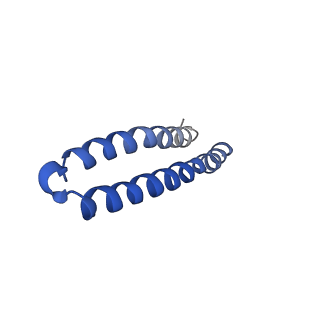 4851_6ree_I_v1-2
Cryo-EM structure of Polytomella F-ATP synthase, Rotary substate 3B, composite map