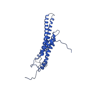 4851_6ree_M_v1-2
Cryo-EM structure of Polytomella F-ATP synthase, Rotary substate 3B, composite map