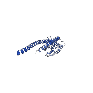4851_6ree_S_v1-2
Cryo-EM structure of Polytomella F-ATP synthase, Rotary substate 3B, composite map