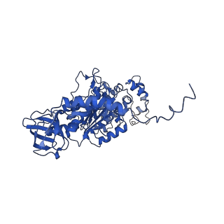 4851_6ree_T_v1-2
Cryo-EM structure of Polytomella F-ATP synthase, Rotary substate 3B, composite map