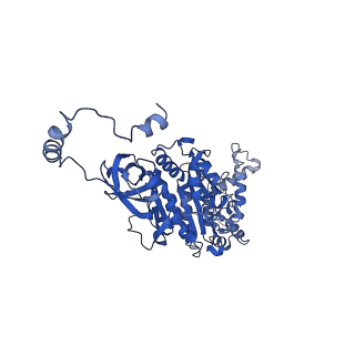 4851_6ree_U_v1-2
Cryo-EM structure of Polytomella F-ATP synthase, Rotary substate 3B, composite map