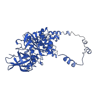 4851_6ree_Y_v1-2
Cryo-EM structure of Polytomella F-ATP synthase, Rotary substate 3B, composite map