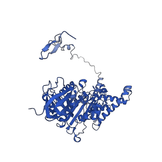 4851_6ree_Z_v1-2
Cryo-EM structure of Polytomella F-ATP synthase, Rotary substate 3B, composite map