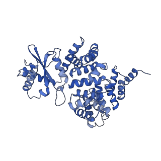 4852_6ref_2_v1-2
Cryo-EM structure of Polytomella F-ATP synthase, Rotary substate 3B, monomer-masked refinement