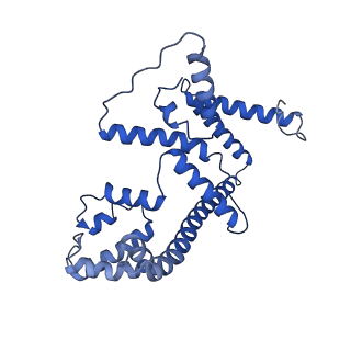 4852_6ref_4_v1-2
Cryo-EM structure of Polytomella F-ATP synthase, Rotary substate 3B, monomer-masked refinement