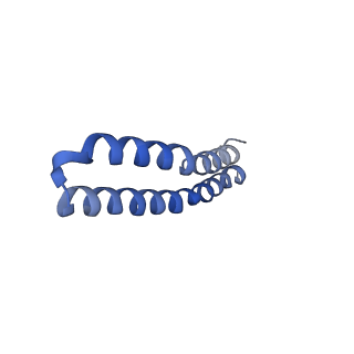 4852_6ref_G_v1-2
Cryo-EM structure of Polytomella F-ATP synthase, Rotary substate 3B, monomer-masked refinement