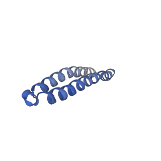 4852_6ref_J_v1-2
Cryo-EM structure of Polytomella F-ATP synthase, Rotary substate 3B, monomer-masked refinement