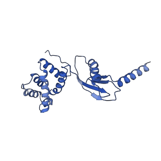 4852_6ref_P_v1-2
Cryo-EM structure of Polytomella F-ATP synthase, Rotary substate 3B, monomer-masked refinement