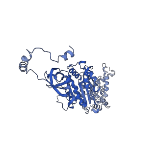 4852_6ref_U_v1-2
Cryo-EM structure of Polytomella F-ATP synthase, Rotary substate 3B, monomer-masked refinement