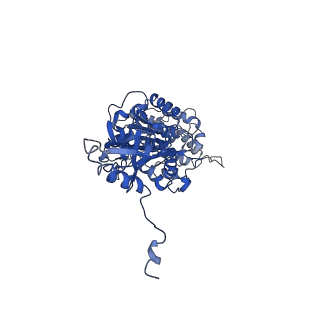 4852_6ref_V_v1-2
Cryo-EM structure of Polytomella F-ATP synthase, Rotary substate 3B, monomer-masked refinement