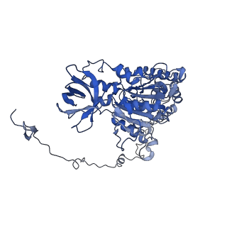 4852_6ref_X_v1-2
Cryo-EM structure of Polytomella F-ATP synthase, Rotary substate 3B, monomer-masked refinement