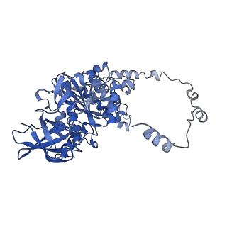 4852_6ref_Y_v1-2
Cryo-EM structure of Polytomella F-ATP synthase, Rotary substate 3B, monomer-masked refinement