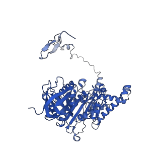 4852_6ref_Z_v1-2
Cryo-EM structure of Polytomella F-ATP synthase, Rotary substate 3B, monomer-masked refinement