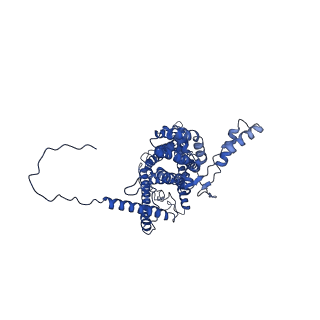 4853_6rep_1_v1-2
Cryo-EM structure of Polytomella F-ATP synthase, Primary rotary state 3, composite map