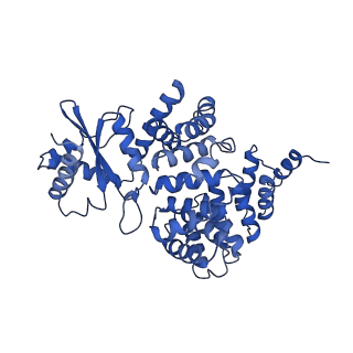 4853_6rep_2_v1-2
Cryo-EM structure of Polytomella F-ATP synthase, Primary rotary state 3, composite map