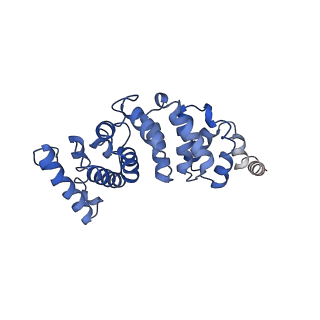 4853_6rep_3_v1-2
Cryo-EM structure of Polytomella F-ATP synthase, Primary rotary state 3, composite map