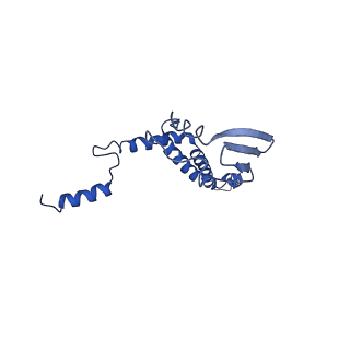 4853_6rep_7_v1-2
Cryo-EM structure of Polytomella F-ATP synthase, Primary rotary state 3, composite map