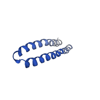 4853_6rep_I_v1-2
Cryo-EM structure of Polytomella F-ATP synthase, Primary rotary state 3, composite map
