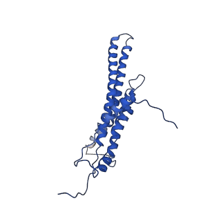 4853_6rep_M_v1-2
Cryo-EM structure of Polytomella F-ATP synthase, Primary rotary state 3, composite map