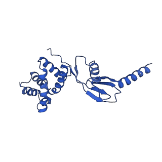 4853_6rep_P_v1-2
Cryo-EM structure of Polytomella F-ATP synthase, Primary rotary state 3, composite map