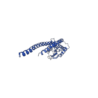 4853_6rep_S_v1-2
Cryo-EM structure of Polytomella F-ATP synthase, Primary rotary state 3, composite map