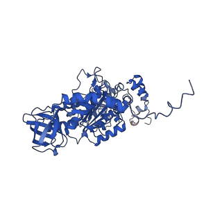 4853_6rep_T_v1-2
Cryo-EM structure of Polytomella F-ATP synthase, Primary rotary state 3, composite map