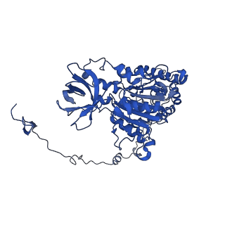 4853_6rep_X_v1-2
Cryo-EM structure of Polytomella F-ATP synthase, Primary rotary state 3, composite map