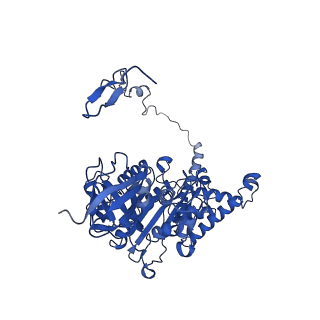 4853_6rep_Z_v1-2
Cryo-EM structure of Polytomella F-ATP synthase, Primary rotary state 3, composite map