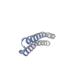 4854_6rer_B_v1-2
Cryo-EM structure of Polytomella F-ATP synthase, Rotary substate 3B, focussed refinement of F1 head and rotor