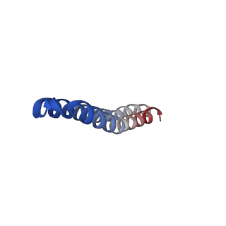 4854_6rer_E_v1-2
Cryo-EM structure of Polytomella F-ATP synthase, Rotary substate 3B, focussed refinement of F1 head and rotor