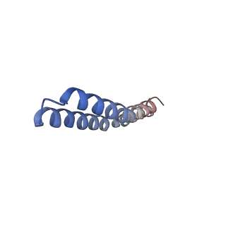 4854_6rer_F_v1-2
Cryo-EM structure of Polytomella F-ATP synthase, Rotary substate 3B, focussed refinement of F1 head and rotor