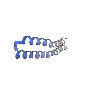 4854_6rer_G_v1-2
Cryo-EM structure of Polytomella F-ATP synthase, Rotary substate 3B, focussed refinement of F1 head and rotor