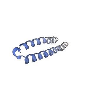 4854_6rer_I_v1-2
Cryo-EM structure of Polytomella F-ATP synthase, Rotary substate 3B, focussed refinement of F1 head and rotor