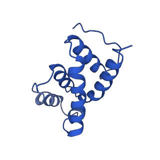 4854_6rer_P_v1-2
Cryo-EM structure of Polytomella F-ATP synthase, Rotary substate 3B, focussed refinement of F1 head and rotor