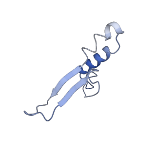 4854_6rer_Q_v1-2
Cryo-EM structure of Polytomella F-ATP synthase, Rotary substate 3B, focussed refinement of F1 head and rotor