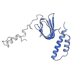 4854_6rer_R_v1-2
Cryo-EM structure of Polytomella F-ATP synthase, Rotary substate 3B, focussed refinement of F1 head and rotor