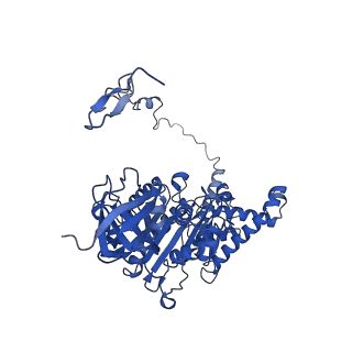 4854_6rer_Z_v1-2
Cryo-EM structure of Polytomella F-ATP synthase, Rotary substate 3B, focussed refinement of F1 head and rotor