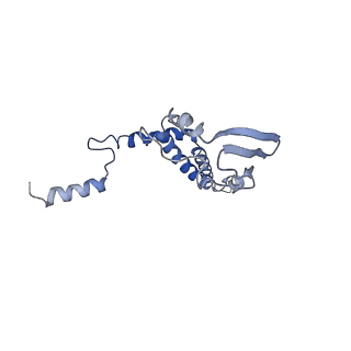4855_6res_7_v1-2
Cryo-EM structure of Polytomella F-ATP synthase, Rotary substate 3C, composite map